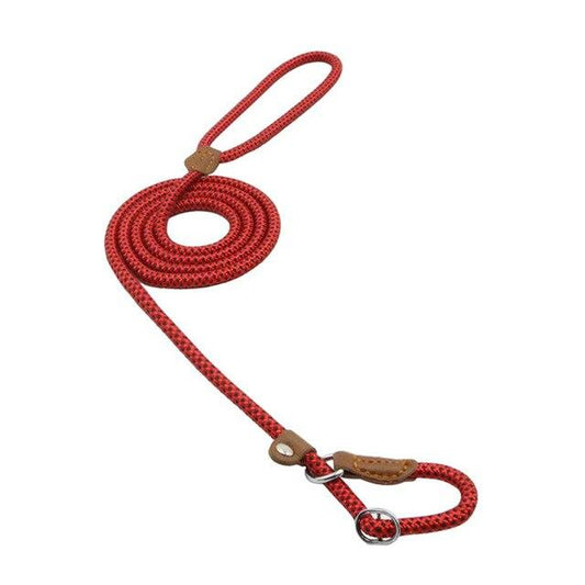Set de Nylón para Cachorros – Collar y Correa Ajustables para Perros Pequeños